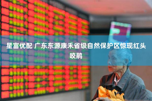 星富优配 广东东源康禾省级自然保护区惊现红头咬鹃