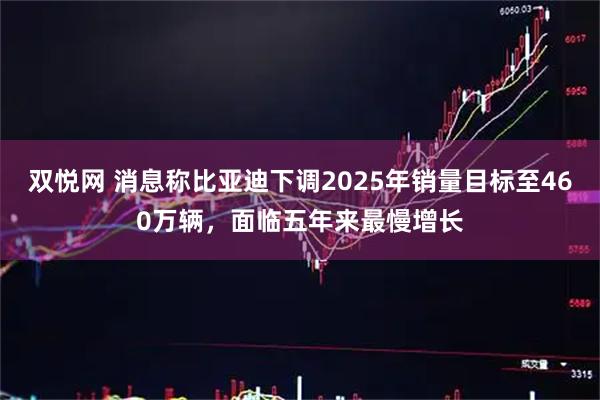 双悦网 消息称比亚迪下调2025年销量目标至460万辆，面临五年来最慢增长